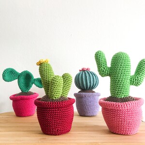 Op de afbeelding: Vier gehaakte cactusplanten in kleurrijke potten. De cactussen zijn groen en hebben verschillende vormen, waaronder een ronde cactus en een hoge cactus met armen. De potten zijn roze, rood en paars.