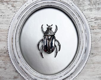 May include: A silver-colored beetle sculpture mounted inside a white, oval-shaped, ornate frame. The beetle has detailed legs, antennae, and a textured body. The frame has a distressed, antique finish, and the background is a light silver color.