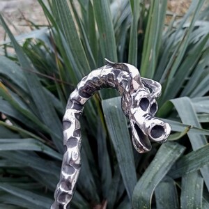 May include: A handcrafted, silver-colored metal dragon sculpture. The dragon's head is detailed with open nostrils and a curved horn. The textured body curves upwards, creating a unique decorative piece. The background features green foliage.
