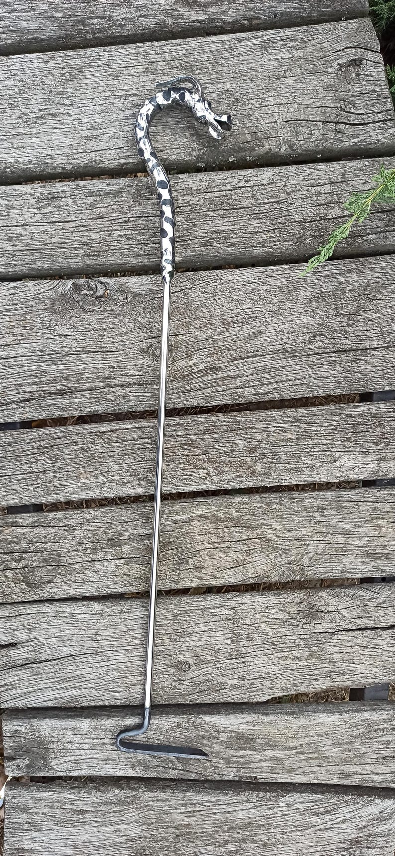 May include: A metal snake hook with a decorative dragon head. The hook is silver with a black and white pattern on the handle. The hook is designed to lift and move snakes safely.