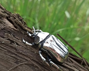 May include: A silver-colored beetle sculpture with a detailed design, resting on a piece of weathered wood.