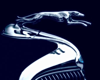 Ford Greyhound Hood ornament fine art photo, Vintage hood ornament art decor, Greyhound hood ornament fine art photo, &#39;34 Ford wall art,