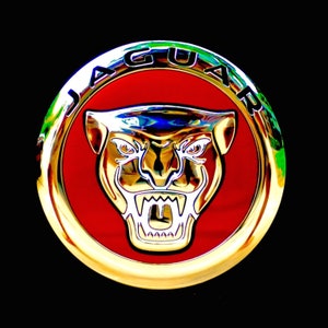 Może przedstawiać: Okrągły emblemat w kolorze złotym i czerwonym z napisem "JAGUAR" w czarnych literach wokół krawędzi. W środku znajduje się srebrna głowa jaguara z dzikim wyrazem twarzy.