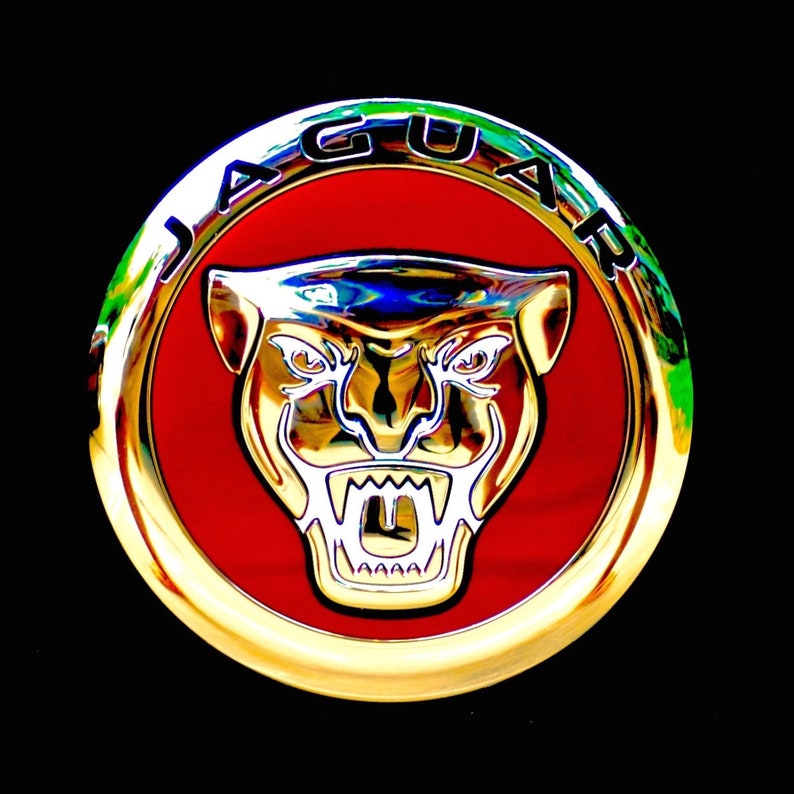 Jaguar Emblem Fine Art Photo, Jag Photo, Jaguar Hood Emblem Wall Art