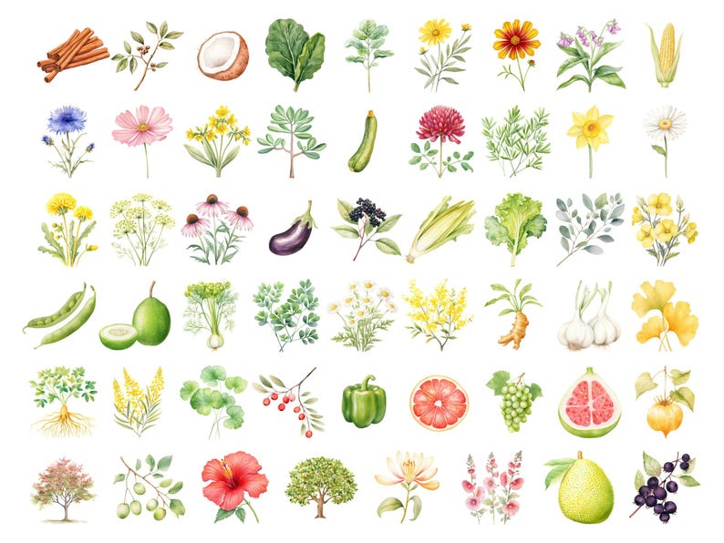 Watercolor Gardening Clipart, DIGITAL DOWNLOAD, Permaculture Garden, Fruit Vegetable Flower Illustrations, Food Commercial Use PNG Graphics image 3