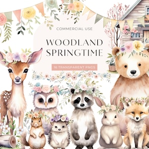 Spring Woodland Animal Clipart, DOWNLOAD DIGITAL, Boho Forest Creature Clip Art, Clipart de berçário de bebê, Uso comercial gratuito PNG transparente