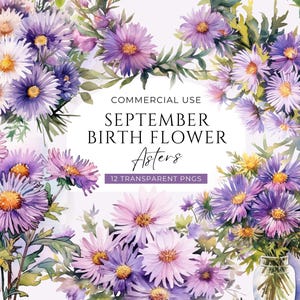 Bundle de cliparts fleur mois de naissance septembre, téléchargement numérique, pack d'art clip aster, ensemble graphique floral aquarelle violet, usage Commercial PNG