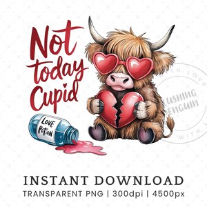 Highland Kuh nicht heute Cupid PNG, Baby Highland Kuh Anti Valentinstag Sublimationsdesign, sarkastische lustige kommerzielle Nutzung PNG Clipart