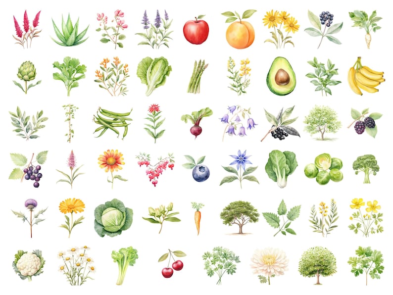 Watercolor Gardening Clipart, DIGITAL DOWNLOAD, Permaculture Garden, Fruit Vegetable Flower Illustrations, Food Commercial Use PNG Graphics image 2