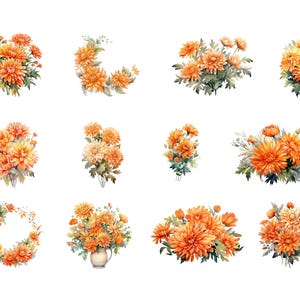 Bundle de cliparts floraux mois de naissance novembre, téléchargement numérique, pack de clipart chrysanthèmes, ensemble de bouquet de fleurs aquarelle, usage commercial PNG image 2