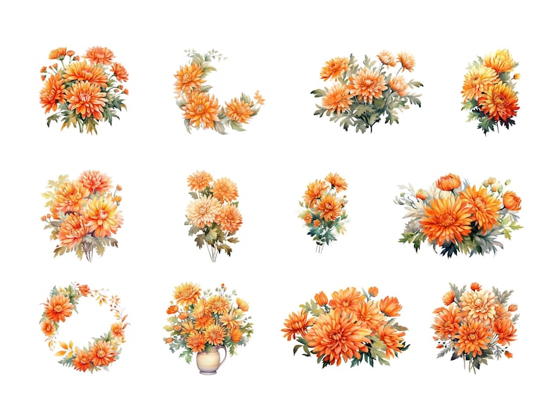 Bundle de cliparts floraux mois de naissance novembre, téléchargement numérique, pack de clipart chrysanthèmes, ensemble de bouquet de fleurs aquarelle, usage commercial PNG image 2