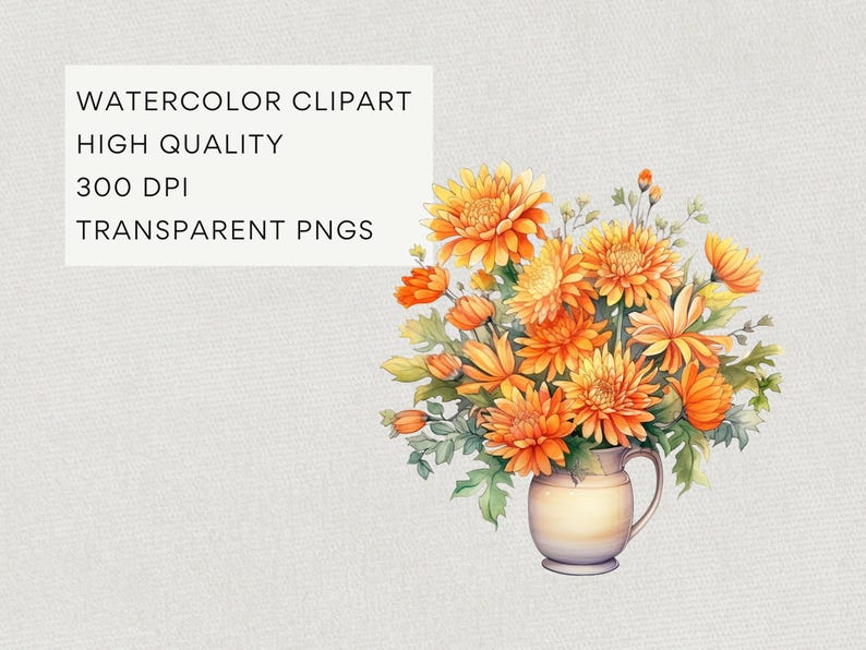 Bundle de cliparts floraux mois de naissance novembre, téléchargement numérique, pack de clipart chrysanthèmes, ensemble de bouquet de fleurs aquarelle, usage commercial PNG image 3