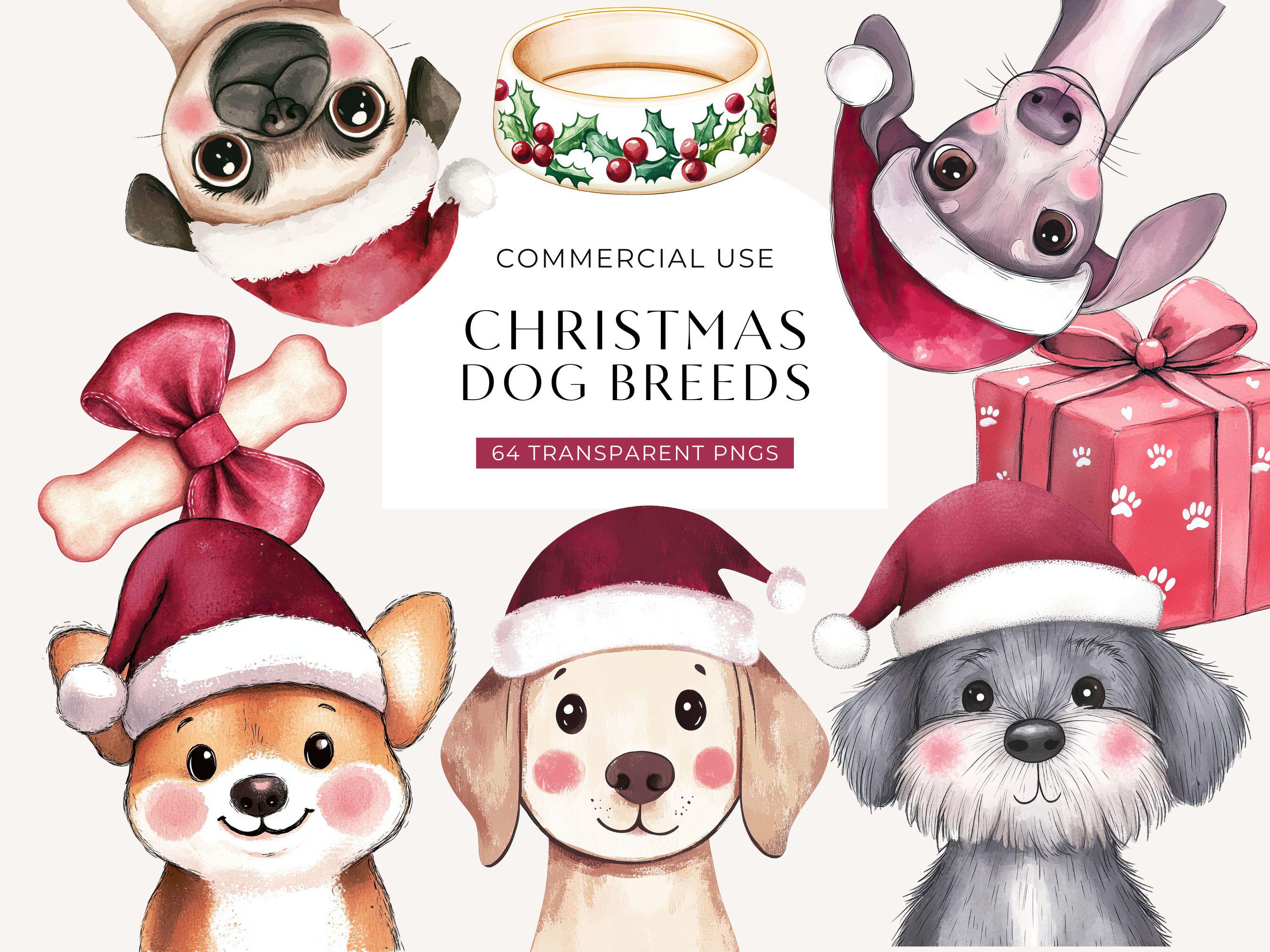 Cute Christmas Dogs Breeds