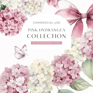 May include: A watercolour illustration of pink and cream hydrangea flowers, a pink bow, and a butterfly. The text reads "Pink Hydrangea Collection" and "56 Transparent PNGs" on a white background. Commercial use.