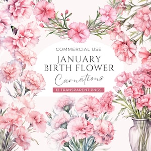 Clipart oeillet, téléchargement numérique, clipart de mois de naissance de janvier, aquarelle de fleur d'anniversaire, bouquet de fleurs rose clair, usage Commercial PNG