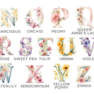 Clipart Floral Letters, DIGITAL DOWNLOAD, Flower Alphabet Clipart, Watercolor Monogram Font, Baby Nursery Wall Art, Free Commercial Use PNG image 3