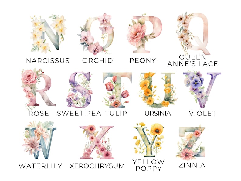 Clipart Floral Letters, DIGITAL DOWNLOAD, Flower Alphabet Clipart, Watercolor Monogram Font, Baby Nursery Wall Art, Free Commercial Use PNG image 3