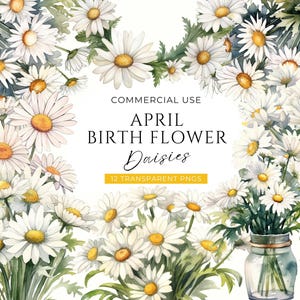 Clipart de flor de nascimento de margarida, DOWNLOAD DIGITAL, Clip Art do mês de nascimento de abril, Buquê de aniversário em aquarela, Uso comercial de margaridas da primavera PNG