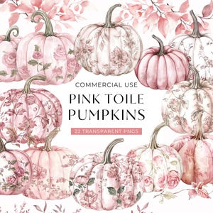 Toile rose citrouilles clipart, téléchargement numérique aquarelle florale chinoiserie, clipart baby shower fille, automne Thanksgiving PNG à usage commercial