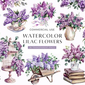 Imágenes prediseñadas de flores lilas, imágenes prediseñadas de flores moradas en acuarela, imágenes prediseñadas de diario basura, invitación de baby shower para uso comercial PNG, DESCARGA DIGITAL