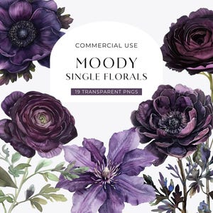 Clipart fleurs violet foncé, téléchargement numérique, clipart floral de mauvaise humeur, bouquet de roses gothiques aquarelle, faire-part de mariage usage commercial PNG