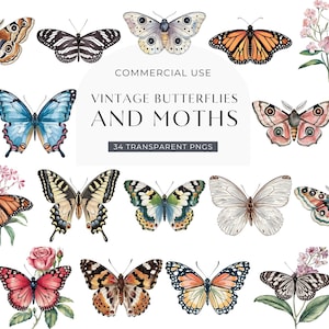 Vintage Schmetterling Motte Clipart, DIGITAL DOWNLOAD, Aquarell Cottagecore Insekten, Junk Journal Ephemera Clip Art, Insekt kommerzielle Nutzung PNG