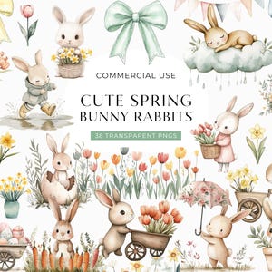 Clipart di coniglietto primaverile carino, clipart di coniglietti pasquali acquerellati, immagini di coniglietti, grafica di scrapbooking di diario spazzatura, DOWNLOAD DIGITALE PNG