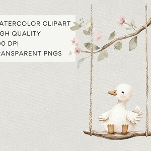 May include: Watercolor clipart image of a white duckling on a swing made of a wooden branch and rope. The swing hangs from a flowering branch. The image includes the text "WATERCOLOR CLIPART, HIGH QUALITY, 300 DPI, TRANSPARENT PNGS."
