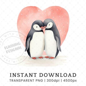 Clipart de pingüino de San Valentín, descarga digital de una sola imagen, pingüino de acuarela, clip art de pareja de animales, tarjeta de aniversario para uso comercial PNG