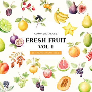 Clipart fruit tout usage commercial, téléchargement numérique, aquarelle de fruits tropicaux, planificateur autocollant Clipart, clipart baies, fruits exotiques d'été PNG