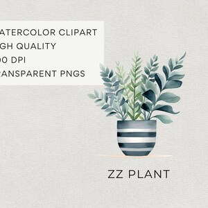 Clipart di piante da appartamento ad acquerello, DOWNLOAD DIGITALE, illustrazione di piante in vaso, grafica botanica verde, uso commerciale di cactus succulenti PNG immagine 4