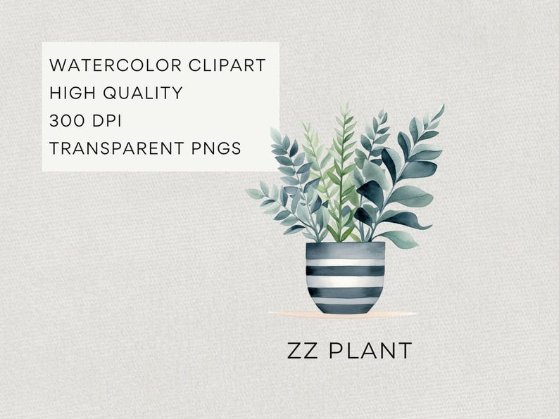 Clipart di piante da appartamento ad acquerello, DOWNLOAD DIGITALE, illustrazione di piante in vaso, grafica botanica verde, uso commerciale di cactus succulenti PNG immagine 4