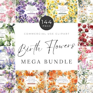 Paquete de imágenes prediseñadas de flores del mes de nacimiento, descarga digital, ramo floral de acuarela del mes de nacimiento, corona de flores silvestres de cumpleaños, PNG para uso comercial