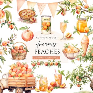 Peach Clipart Komercyjne wykorzystanie, CYFROWE POBIERANIE, Akwarelowe brzoskwinie, Ilustracja brzoskwini, Clipart owoców, Kwiat brzoskwini PNG, Grafiki wiosenne