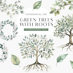 Grüner Aquarell Baum mit Wurzeln Clipart, Baum des Lebens Clip Art, Sommerzweige und Blätter, Stammbaum kommerzielle Nutzung PNG, DIGITAL DOWNLOAD