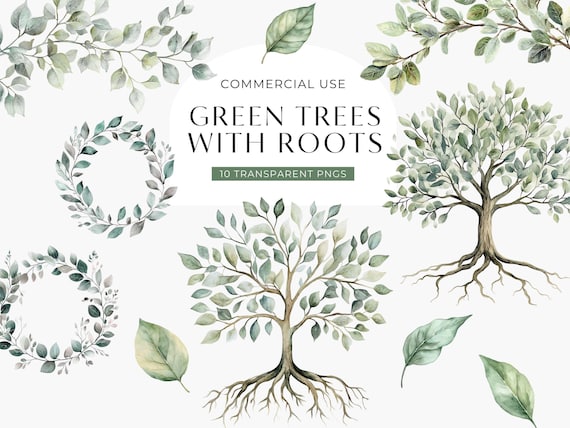 Green Watercolor Tree With Roots Clipart, Tree of Life Clip Art, Summer Branches & Leaves, Family Tree Commercial Use PNG, DIGITAL DOWNLOAD