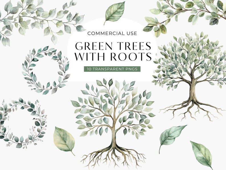 Green Watercolor Tree With Roots Clipart, Tree of Life Clip Art, Summer Branches & Leaves, Family Tree Commercial Use PNG, DIGITAL DOWNLOAD image 1