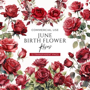 Clipart bouquet de roses rouges, téléchargement numérique, juin naissance mois fleur clipart, aquarelle florale couronne de roses graphique, PNG gratuit pour usage commercial
