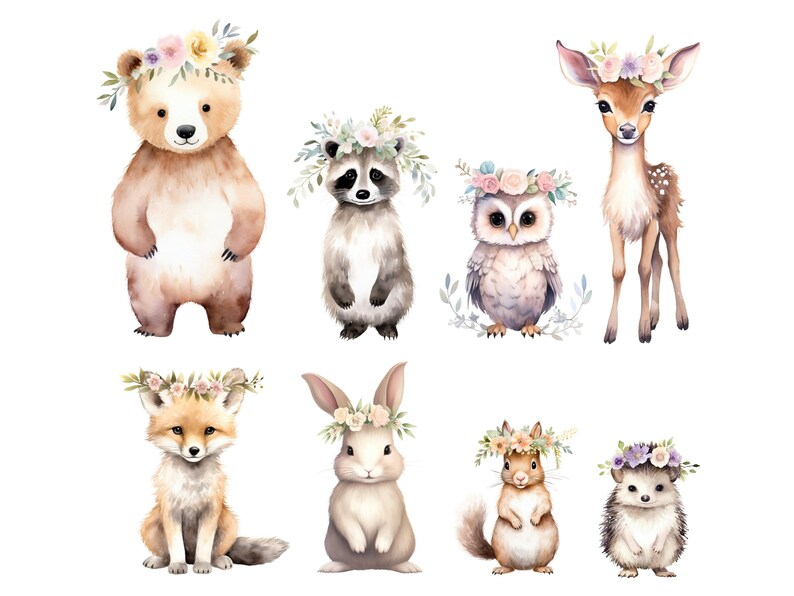 Frühling Waldtier Clipart, DIGITAL DOWNLOAD, Boho Waldkreatur Clip Art, Baby Kinderzimmer Clipart, kostenlose kommerzielle Nutzung transparente PNG Bild 2