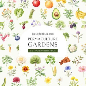 Watercolor Gardening Clipart, DIGITAL DOWNLOAD, Permaculture Garden, Fruit Vegetable Flower Illustrations, Food Commercial Use PNG Graphics image 1
