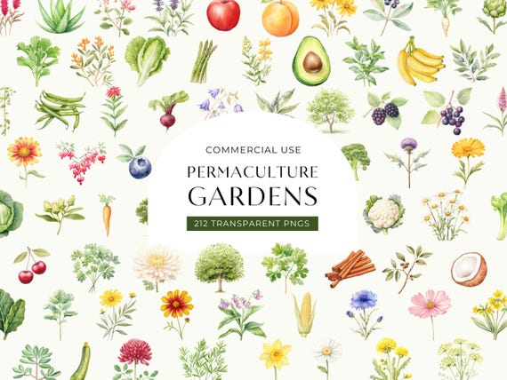 Watercolor Gardening Clipart, DIGITAL DOWNLOAD, Permaculture Garden, Fruit Vegetable Flower Illustrations, Food Commercial Use PNG Graphics