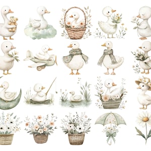 Puede incluir: Ilustraciones en acuarela de adorables patitos blancos en varias poses. Algunos patitos sostienen flores, un osito de peluche o llevan bufandas y sombreros. Otras ilustraciones incluyen un patito en una cesta, sobre una nube y en un avi&oacute;n.
