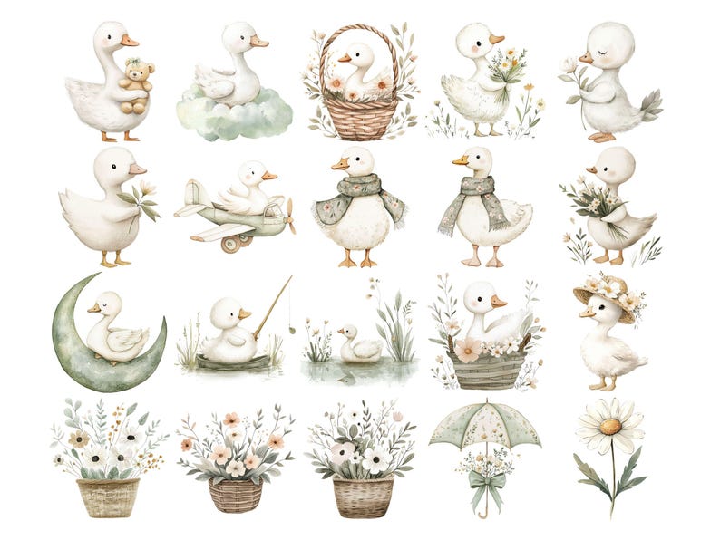 Puede incluir: Ilustraciones en acuarela de adorables patitos blancos en varias poses. Algunos patitos sostienen flores, un osito de peluche o llevan bufandas y sombreros. Otras ilustraciones incluyen un patito en una cesta, sobre una nube y en un avi&oacute;n.