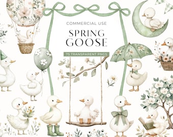 Imágenes prediseñadas de gansos graciosos de primavera, imágenes prediseñadas de crías de ganso en acuarela vintage, imágenes rústicas para baby shower, gráficos de cumpleaños para niñas estilo cottagecore, PNG digital