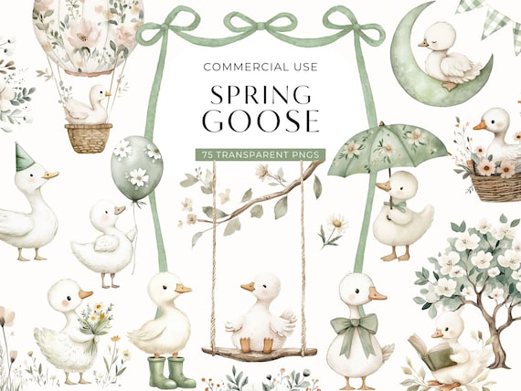 Silly Goose Clipart Spring, Vintage Watercolor Gosling Clip Art, Rustic Baby Shower Images, Cottagecore Girls Birthday Graphics, DIGITAL PNG
