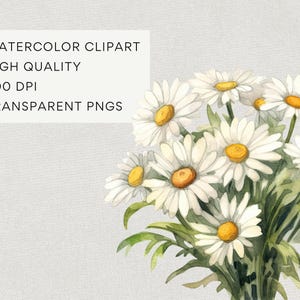 Daisy Birth Flower Clipart, DIGITAL DOWNLOAD, April Birth Month Clip Art, Watercolor Birthday Bouquet, Spring Daisies Commercial Use PNG image 3