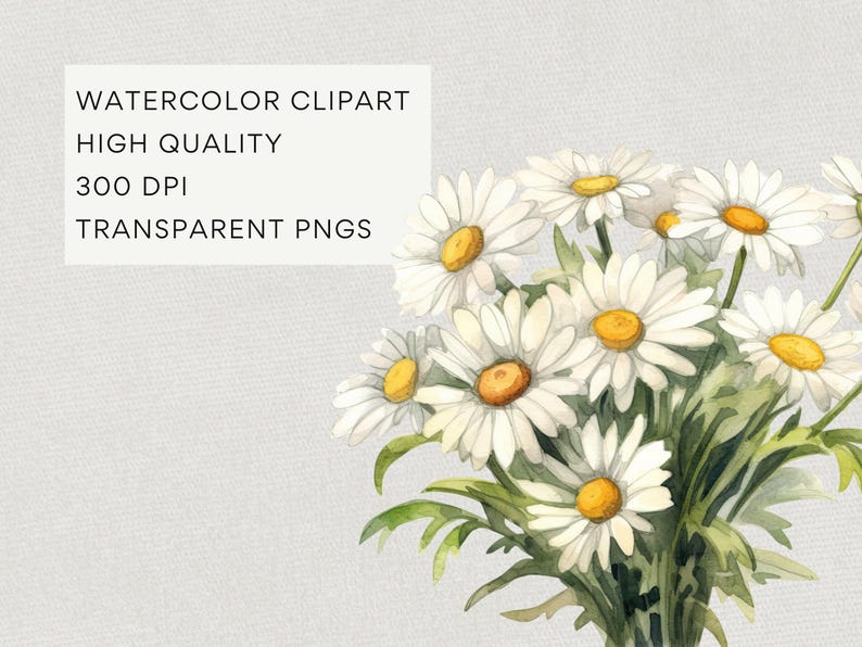 Daisy Birth Flower Clipart, DIGITAL DOWNLOAD, April Birth Month Clip Art, Watercolor Birthday Bouquet, Spring Daisies Commercial Use PNG image 3