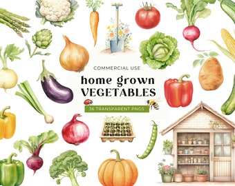 Vegetables Clipart Commercial Use, DIGITAL DOWNLOAD, Healthy Vegan Food PNG, Watercolor Gardening, Vegetable Garden, Spring Summer Graphics