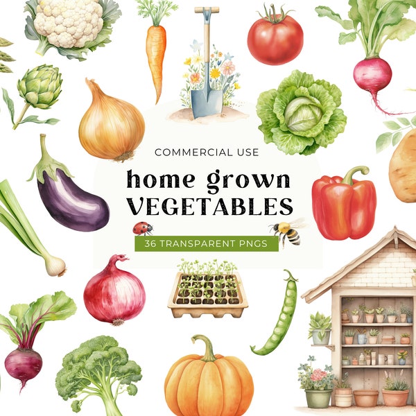 Vegetables Clipart Commercial Use, DIGITAL DOWNLOAD, Healthy Vegan Food PNG, Watercolor Gardening, Vegetable Garden, Spring Summer Graphics