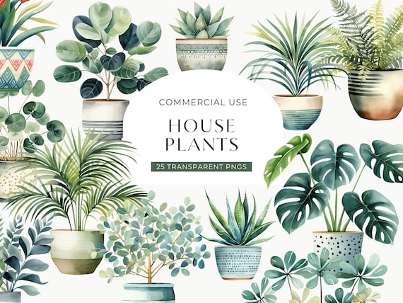 Watercolor House Plant Clipart, DIGITAL DOWNLOAD, Potted Plant Illustration, Greenery Botanical Graphic, Succulent Cactus Commercial Use PNG